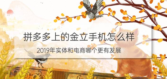 拼多多上的金立手机怎么样 2019年实体和电商哪个更有发展？